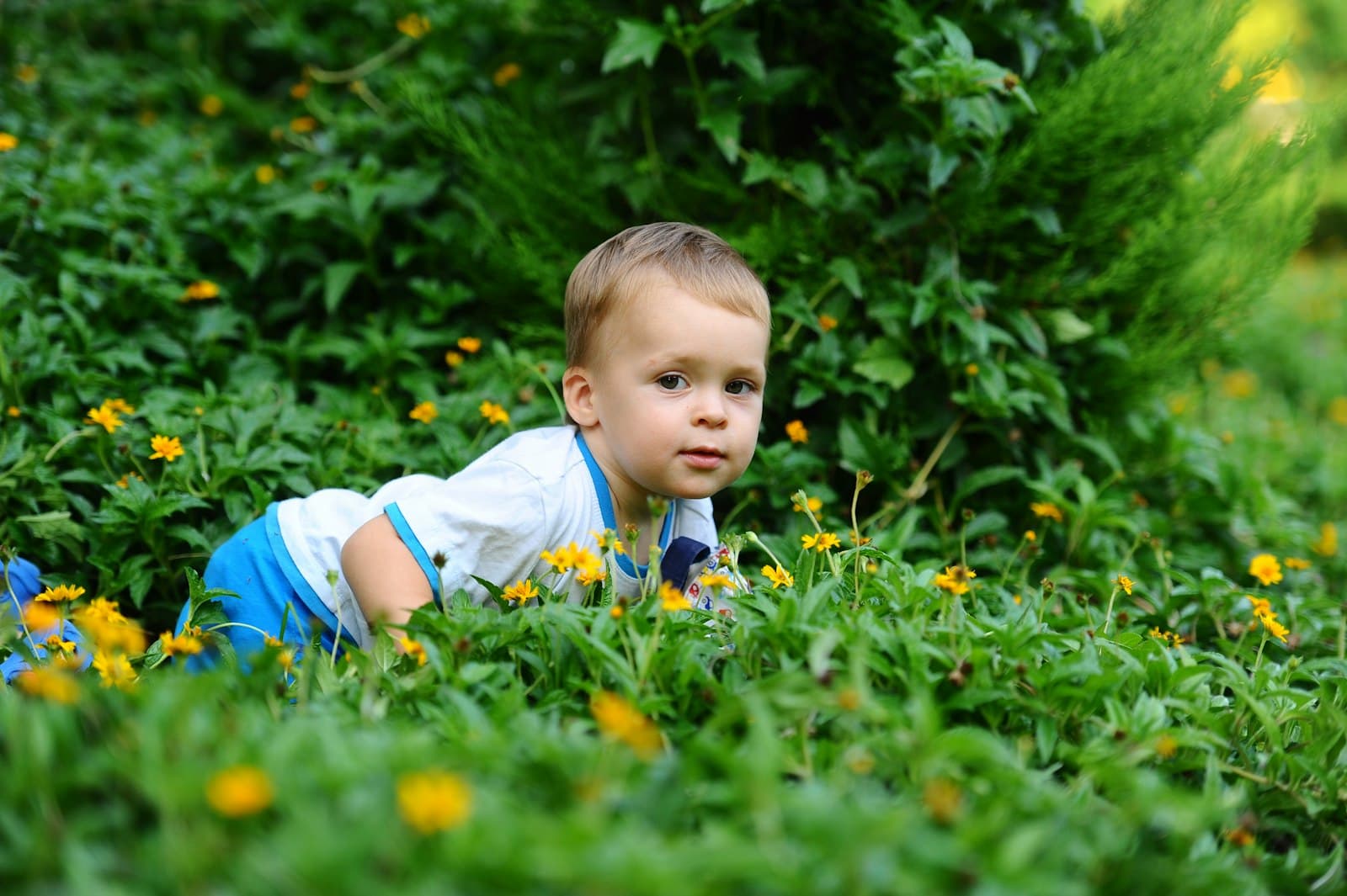 Kinder pflanzen gemeinsam einen kleinen Baum